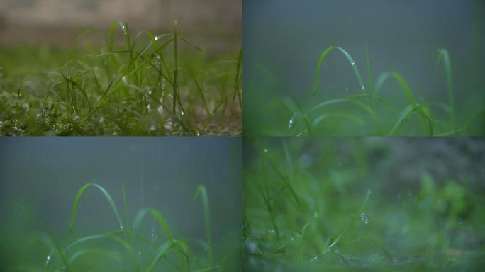 雨滴落在草地上雨水落在砖头上