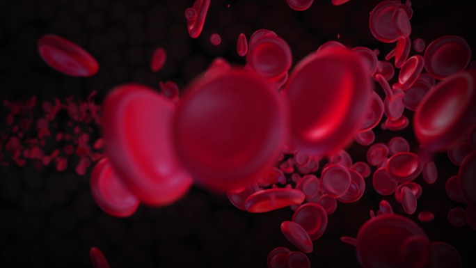 4K血红蛋白红细胞科普动画
