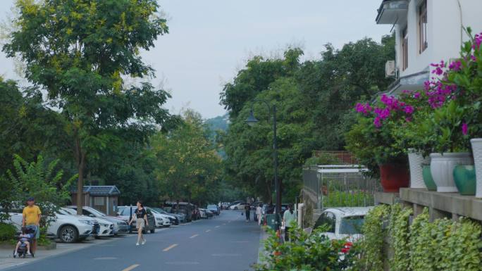 杭州乡间小路风景