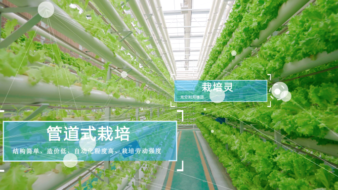 科技农业-数字化农业-智慧农业-温室大棚