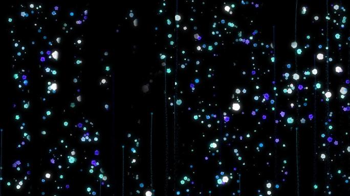 超高屏纵向teamlab 花海