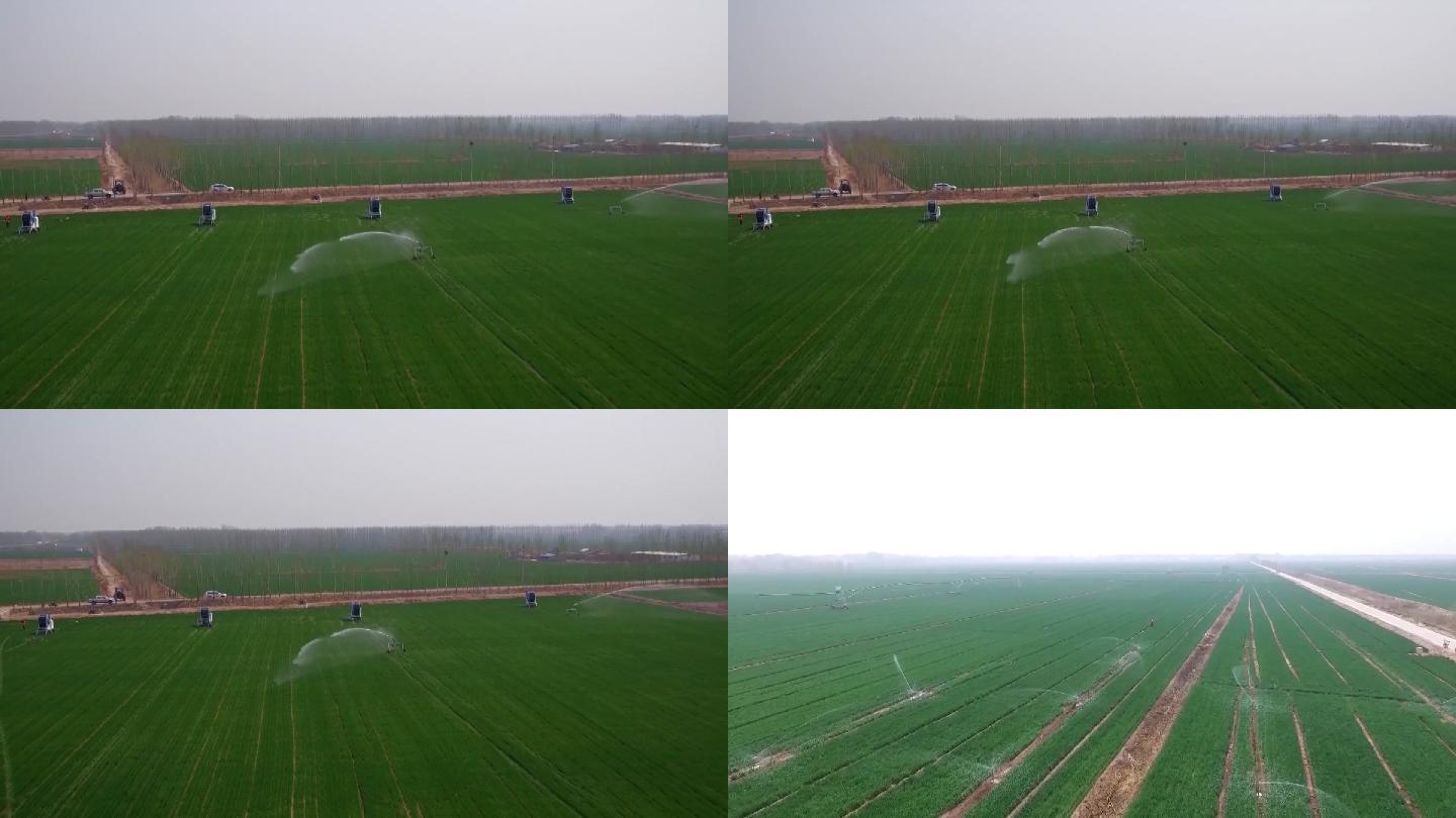 四川省绵阳市灌溉中的麦田航拍