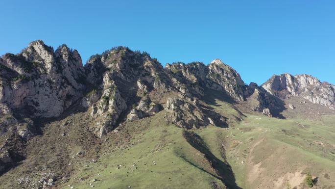 实拍甘南州临潭县大岭山山脉植被航拍四组