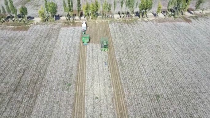 新疆维吾尔自治区收割机在田间工作航拍