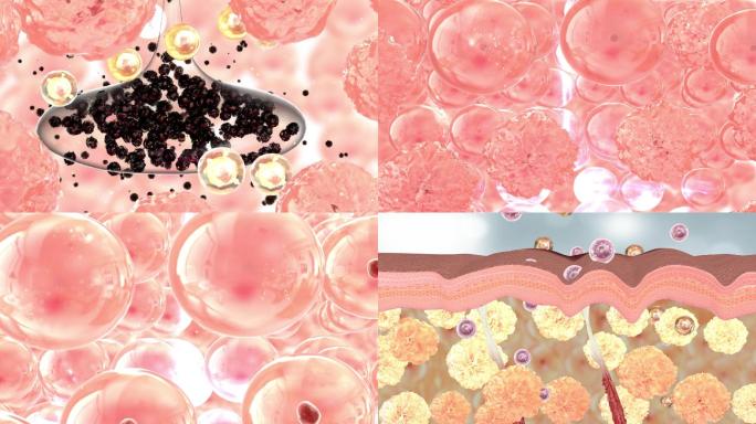 清除色斑斑囊细胞机理