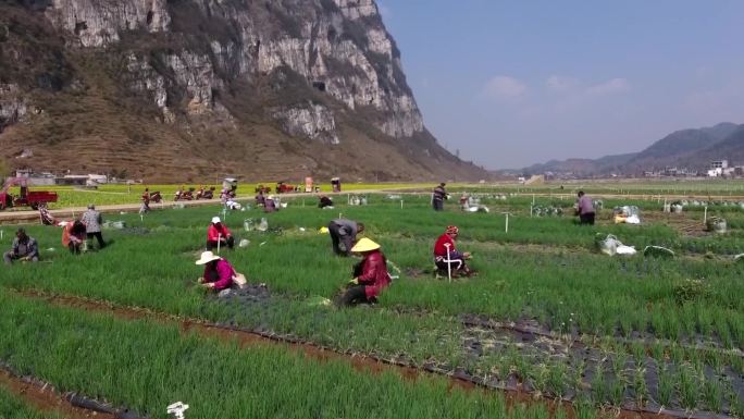 贵州毕节市赫章县松林坡村收获中的农民航拍