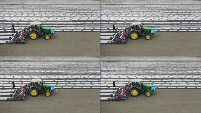 新疆维吾尔自治区拖拉机在棉花田工作