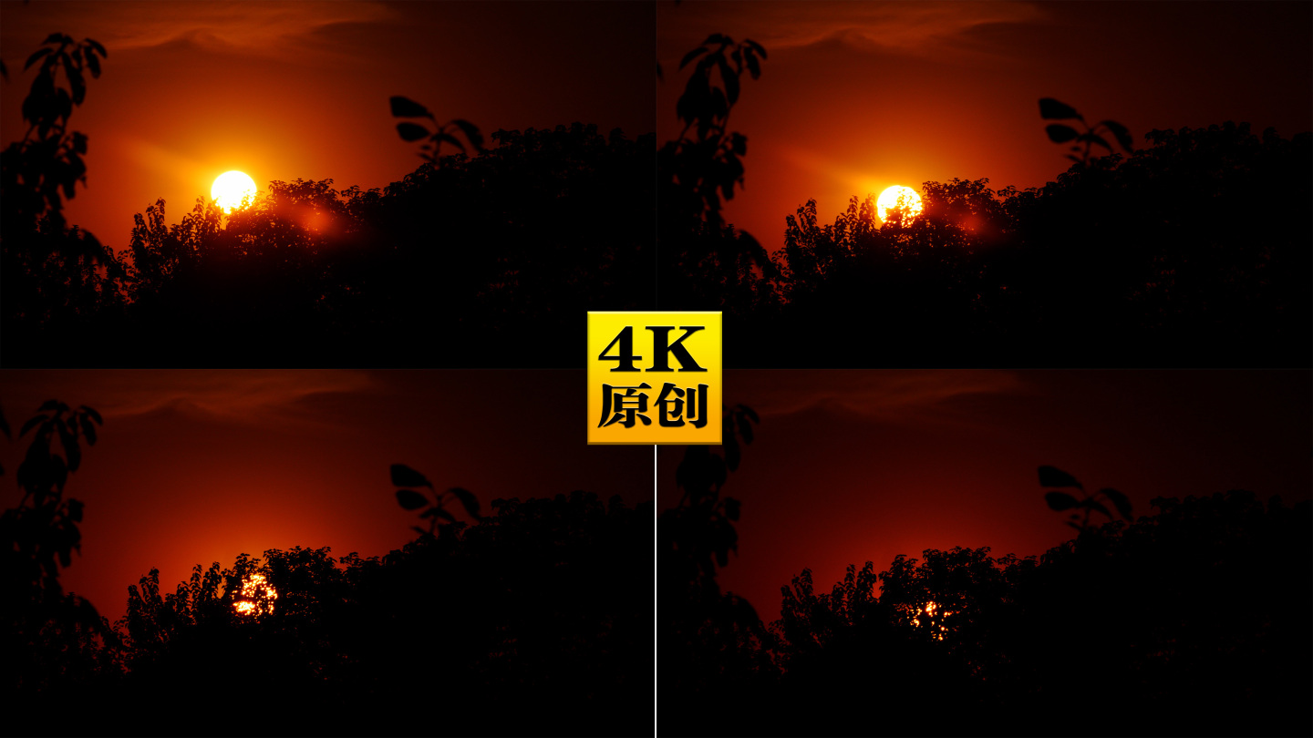 4K原创)茂密的树林前的夕阳日落