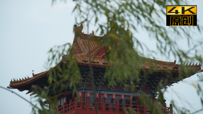 宫殿、建筑、古典建筑、古代、中国传统、树