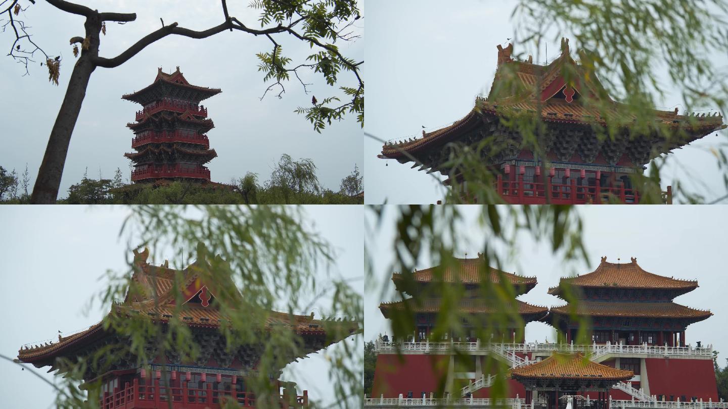 宫殿、建筑、古典建筑、古代、中国传统、树
