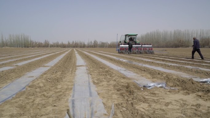 新疆维吾尔自治区拖拉机在棉花田工作