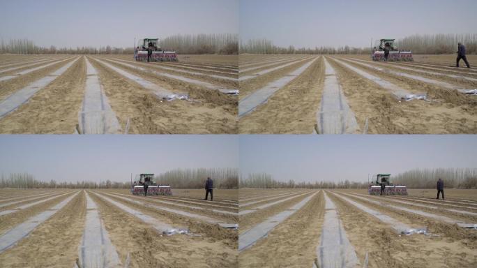 新疆维吾尔自治区拖拉机在棉花田工作