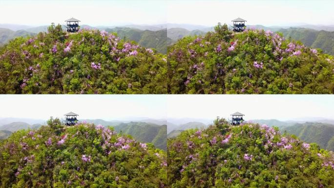 航拍中国浙江省山顶的树林和亭子