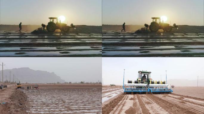 新疆维吾尔自治区在棉花田工作的拖拉机