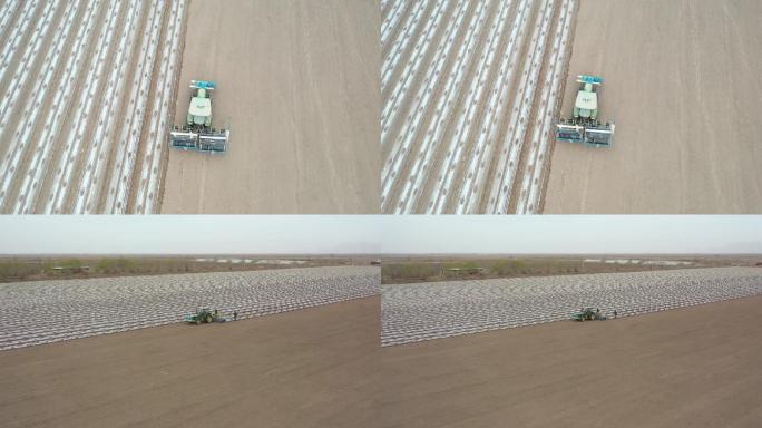 新疆维吾尔自治区收割机在棉花田工作航拍