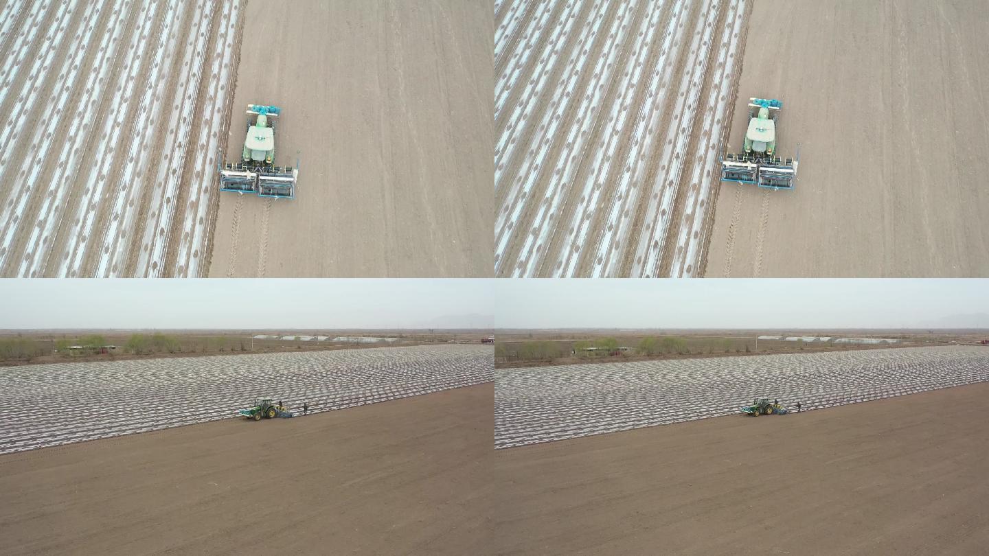 新疆维吾尔自治区收割机在棉花田工作航拍