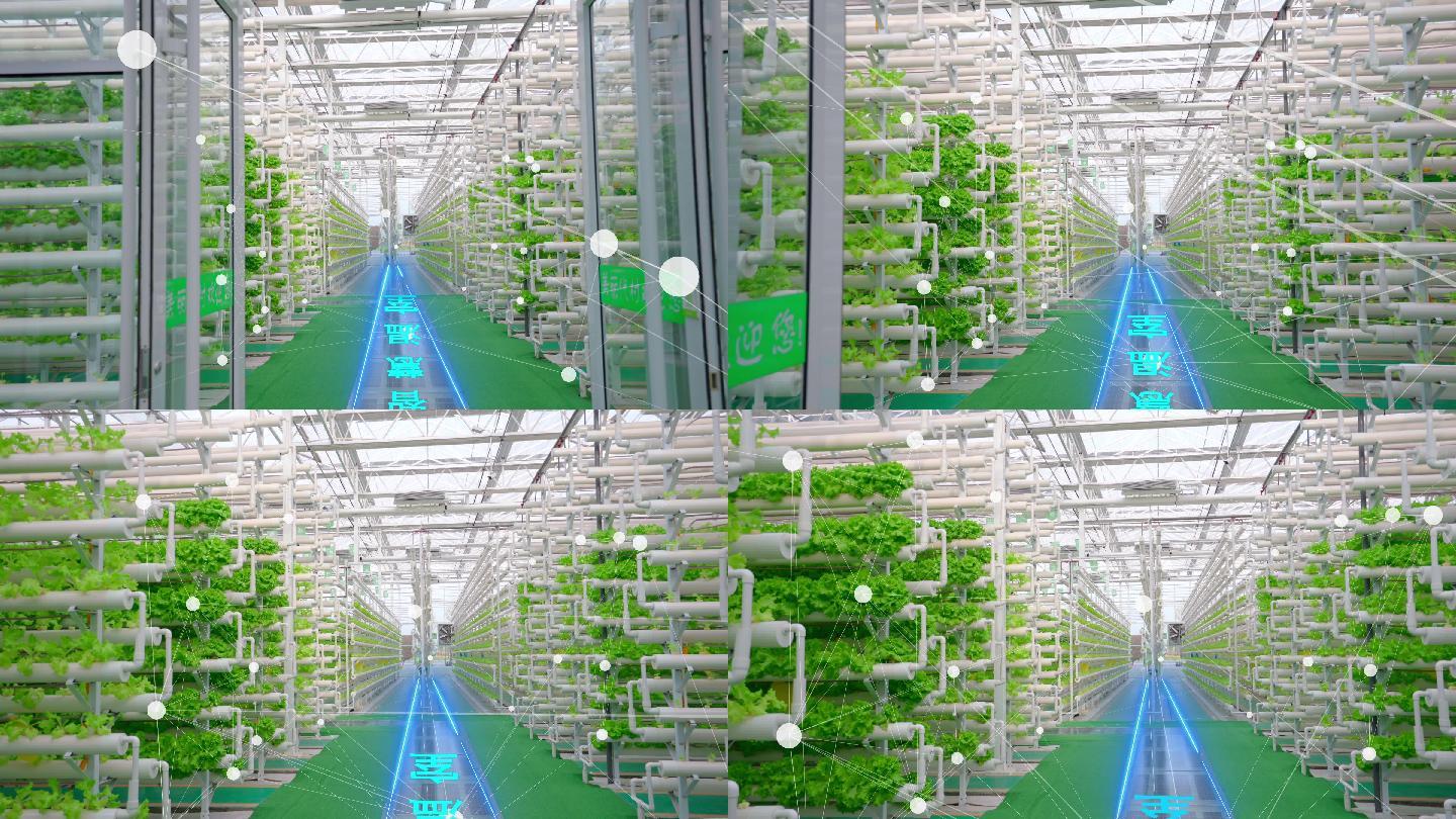 科技农业-智慧温室-科技连线