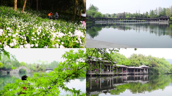 杭州西湖边浴鹄湾太子湾茅家埠