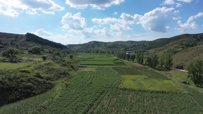 山区航拍太行山吕梁山北方田野原野林地山川