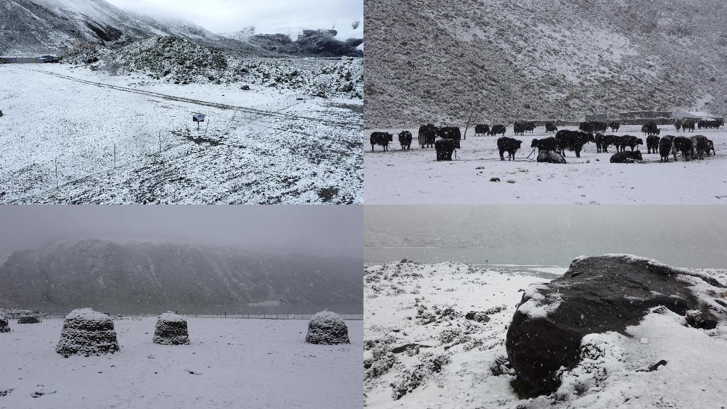 西藏萨普冰川雪后景象（2）