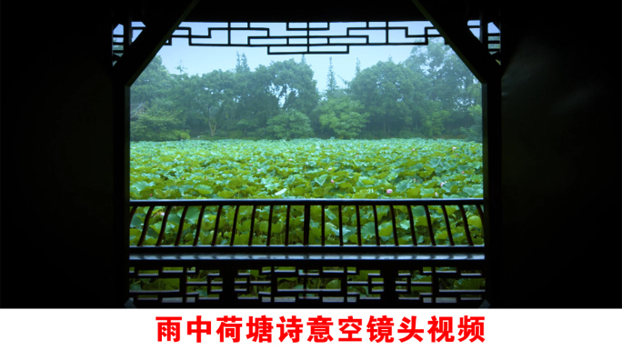 雨中荷塘中国风诗意意境视频素材