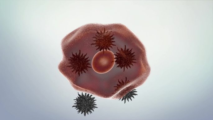 肝脏病毒机理视频素材