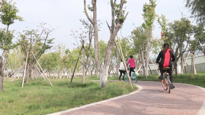 4k公共素材公园人群骑车游玩