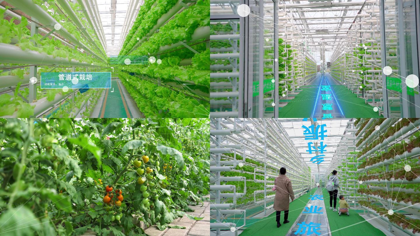 科技农业AE模板-新能源绿色食品