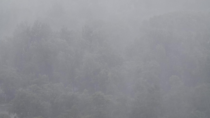 暴雨大风城市暴雨 4K