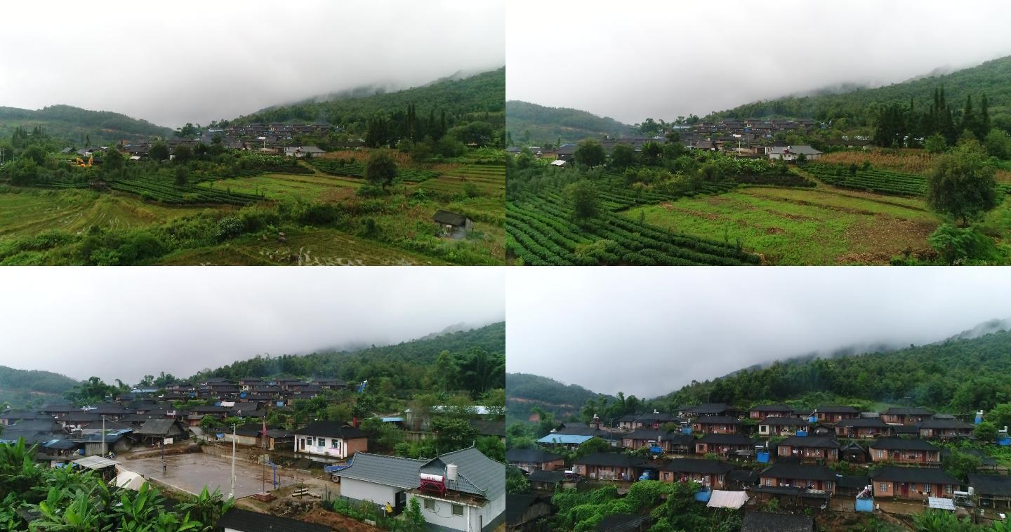 7大自然 雲南 緬甸邊境 茶園 山水如畫