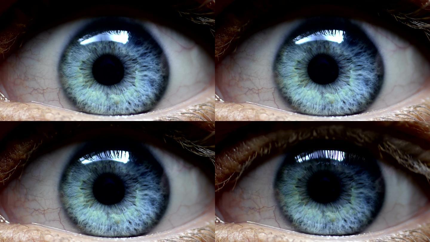 人眼美瞳眼角膜视网膜瞳孔眼珠子蓝眼睛眼球