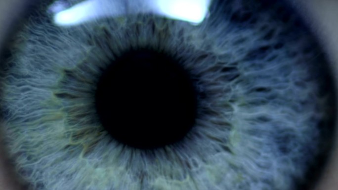 人眼睁眼瞳孔视力