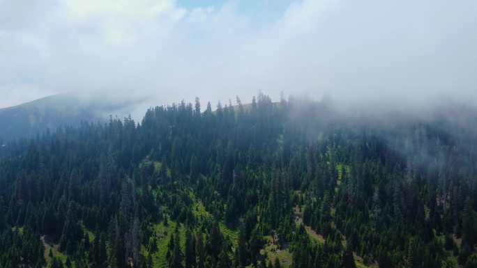 山林起雾