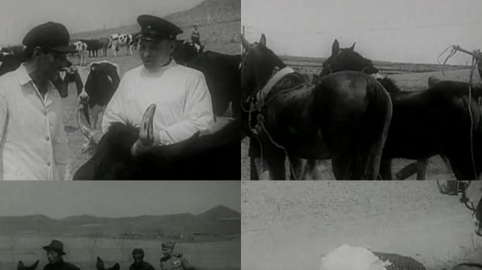 50年代苏联畜牧专家援助