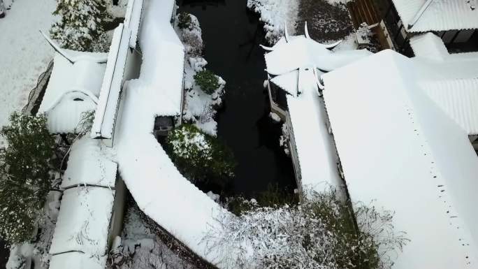 江南园林风光南京瞻园地面、航拍雪景 梅花