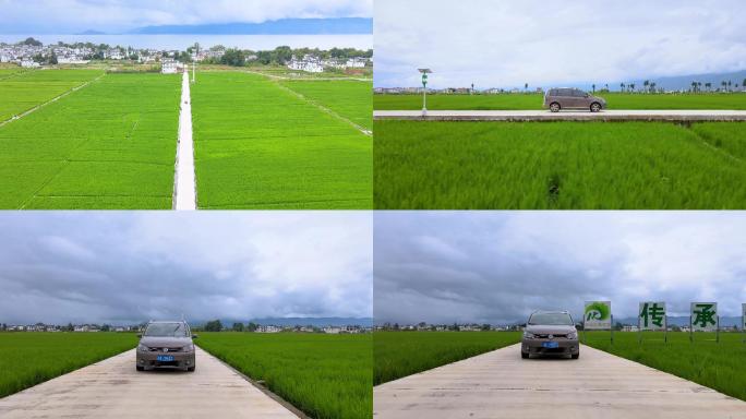 汽车行驶在稻田公路4K航拍