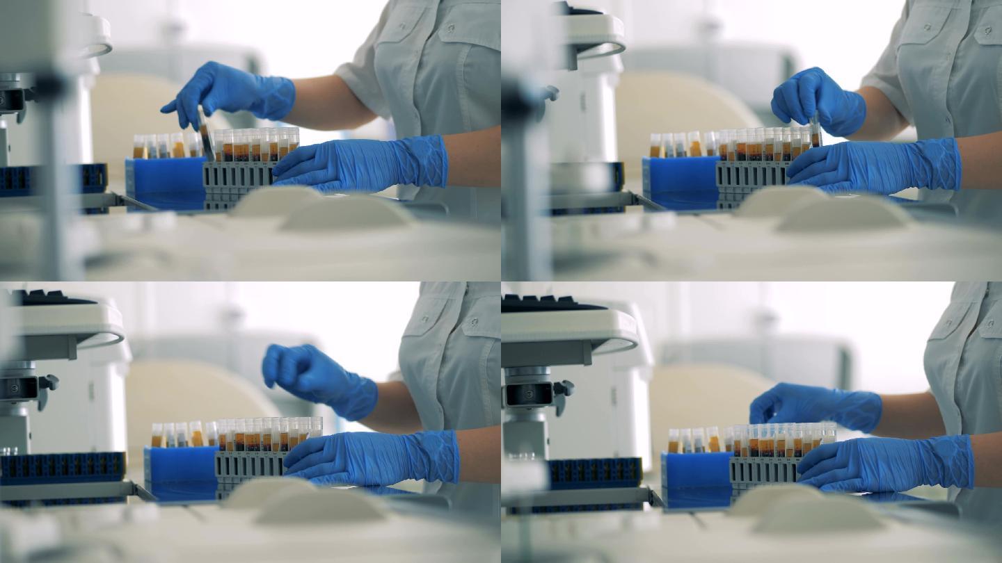 实验室工作人员双手重新定位血液试管