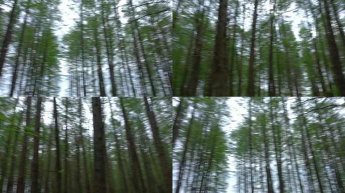 原素材航拍树林旋转镜头