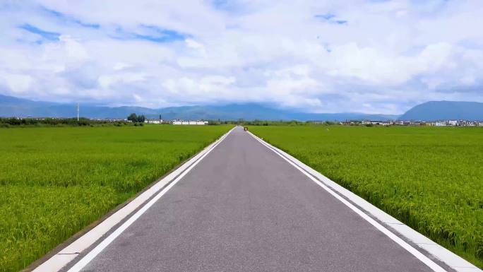 4K航拍大理洱海稻田农村风景