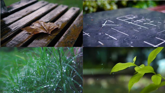 跌落在路面的雨滴