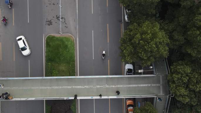 4K航拍 城市街景 银杏树 街道