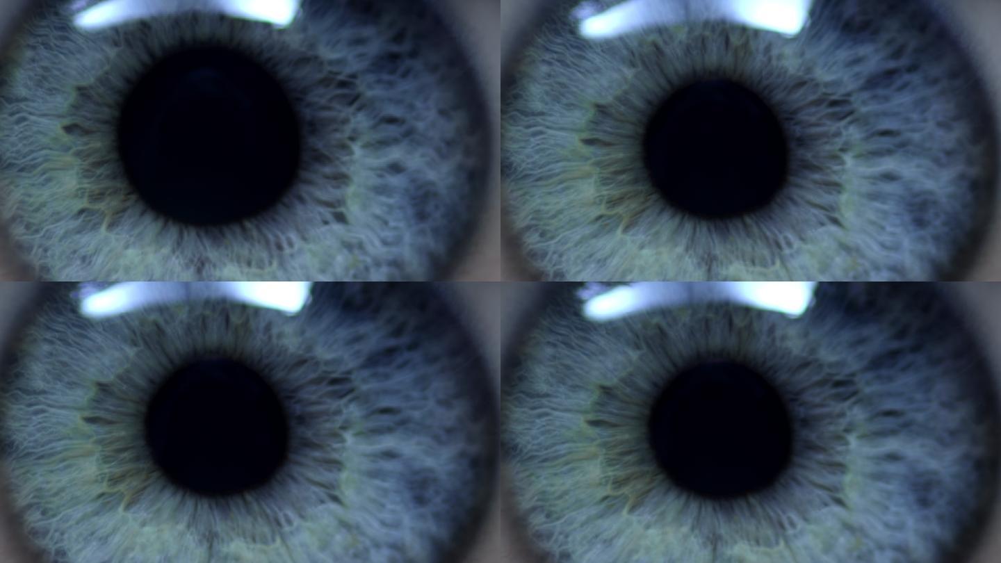 人眼裸眼3D素材艺术画廊商场视频展览立体