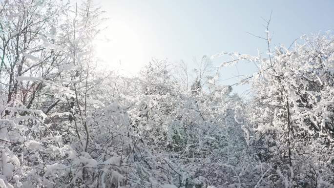 秦岭山脉雪景航拍