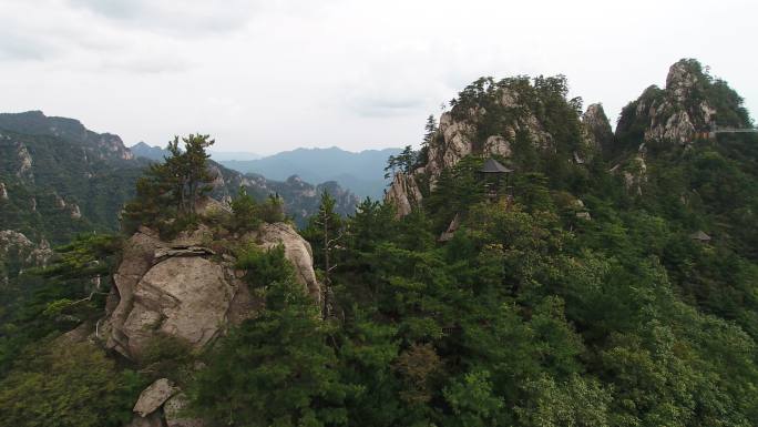 西峡县伏牛山老界岭自然保护区