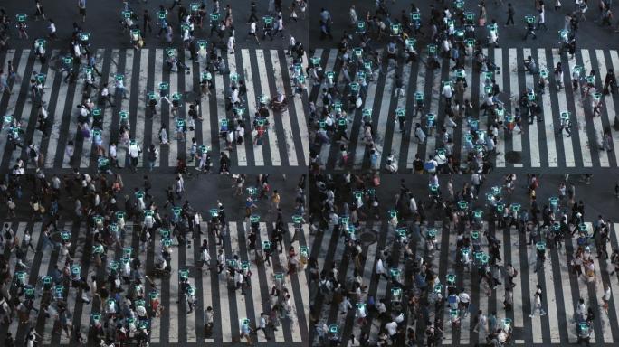 大城市拥挤人行横道识别技术