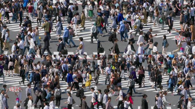 日本东京涉谷道口接头人流路口斑马线行人熙