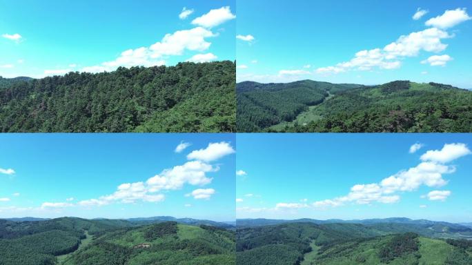航拍森林空镜 天然氧吧 自然 蓝天白云