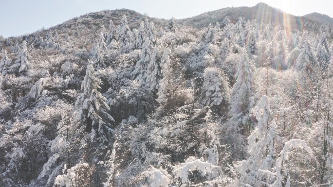 秦岭山雪景航拍