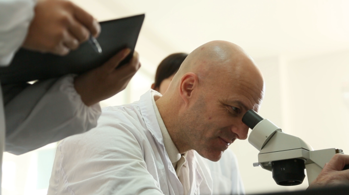 男女外国专家显微镜试验室指导做试验
