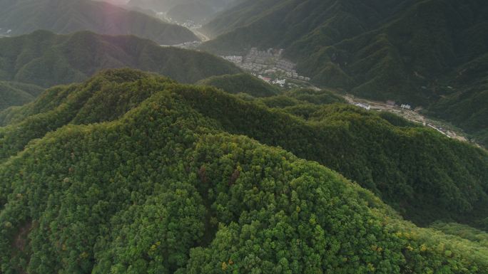 西峡县伏牛山老界岭自然保护区